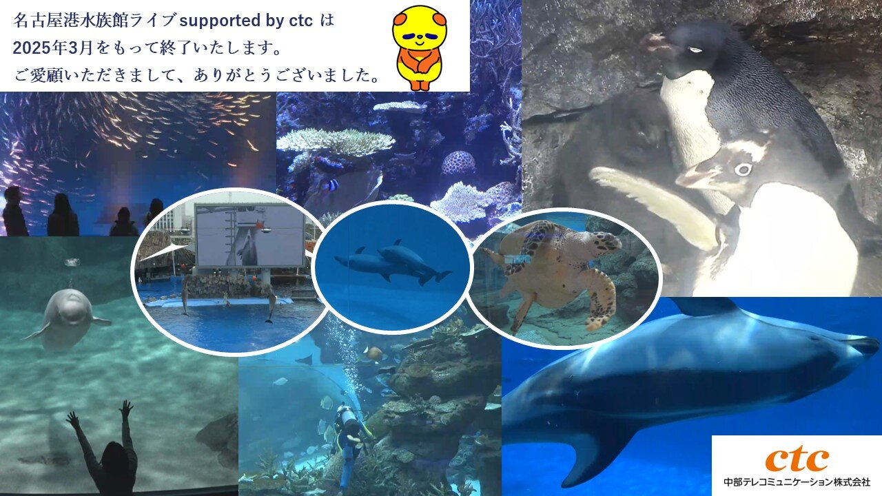 名古屋港水族館ライブ終了のお知らせ ご愛顧ありがとうございました。.JPG
